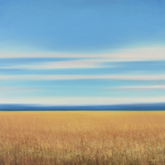 Golden Field - Blue Sky Landscape