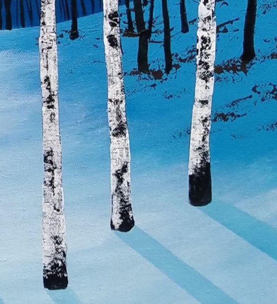 Shadows of the Moon