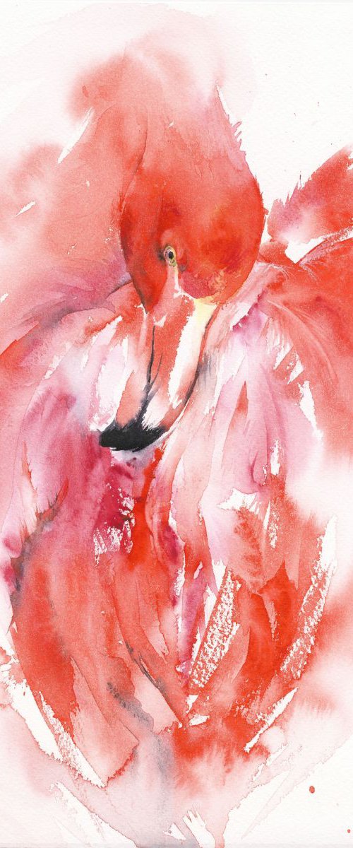 Flamingo Flurry by Anjana Cawdell