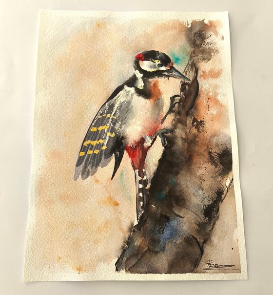 Woodpecker