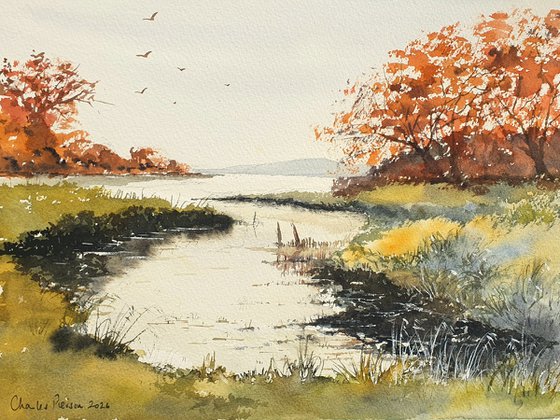 Meadow and Stream Reflections