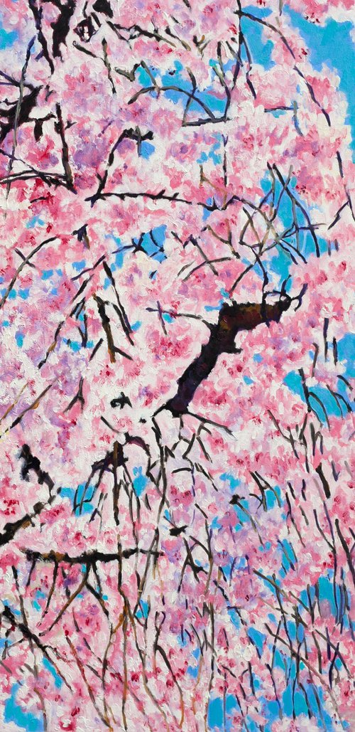 Pink Cherry Blossom by Liudmila Pisliakova