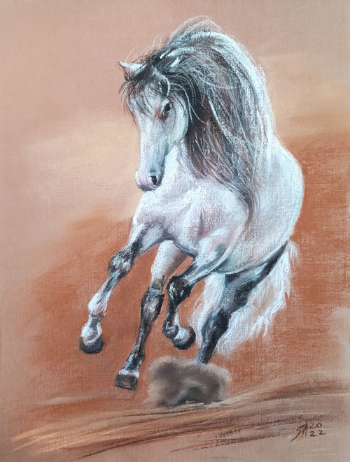 Horse V /  ORIGINAL Soft Pastel Drawing by Salana Art Gallery