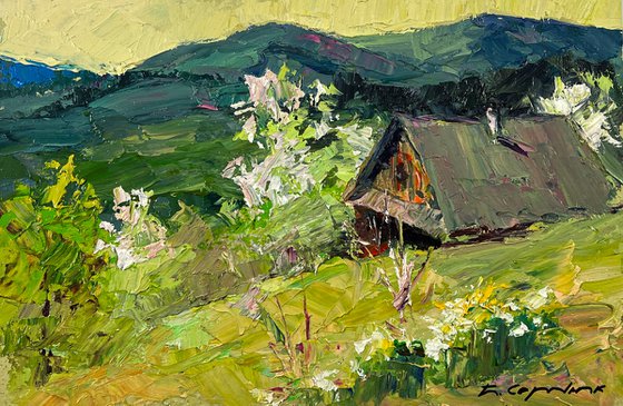 Spring in the Endless Mountains