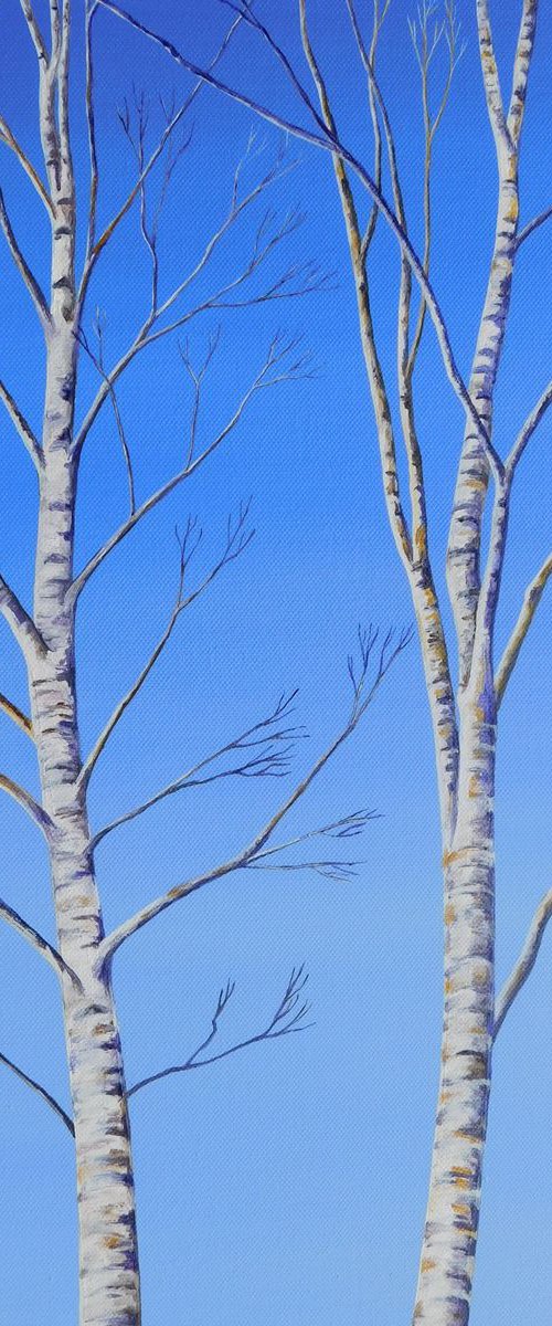Two Silver Birch Trees in Winter by Ruth Cowell