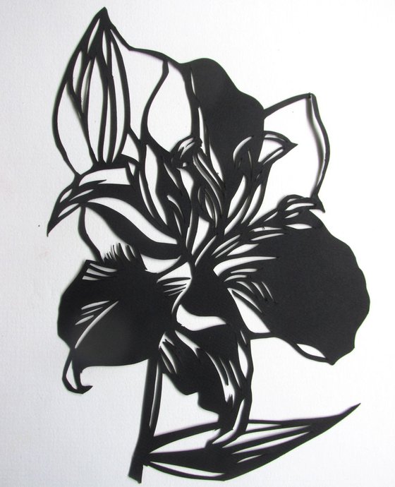 lily paper cut