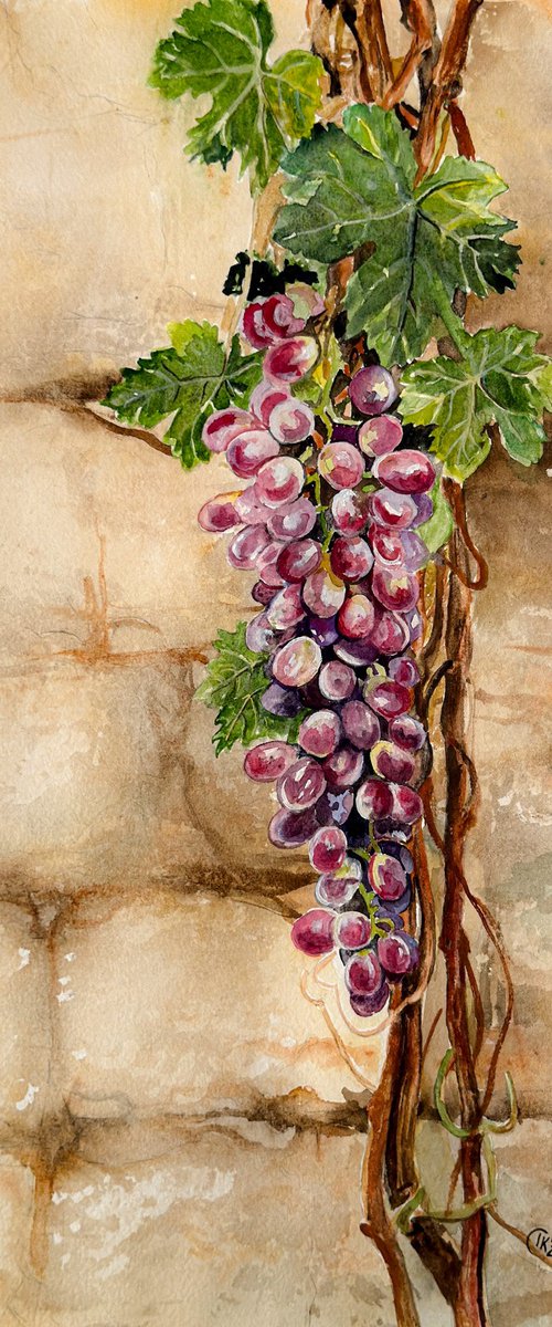 Whispers Through the Wall – Grapevine by Irina Kurganskaya