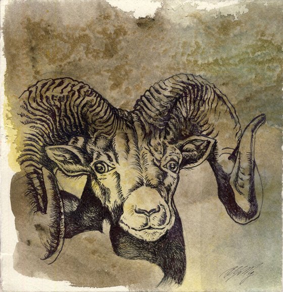 The year of the Ram