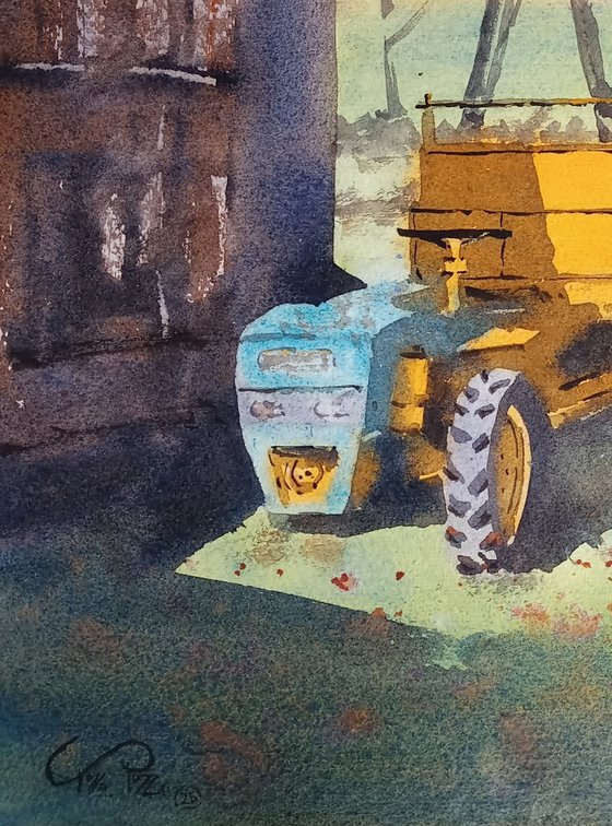 The hidden soul of things