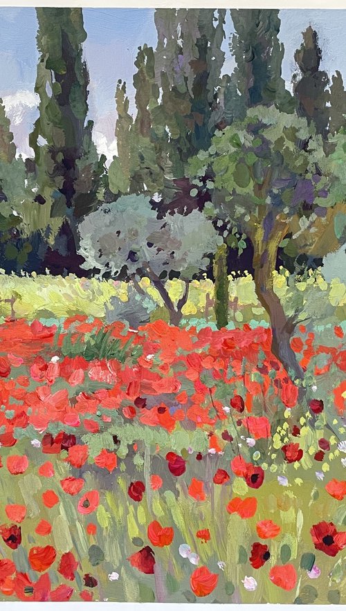 Poppy carpet by Nadezda Stupina