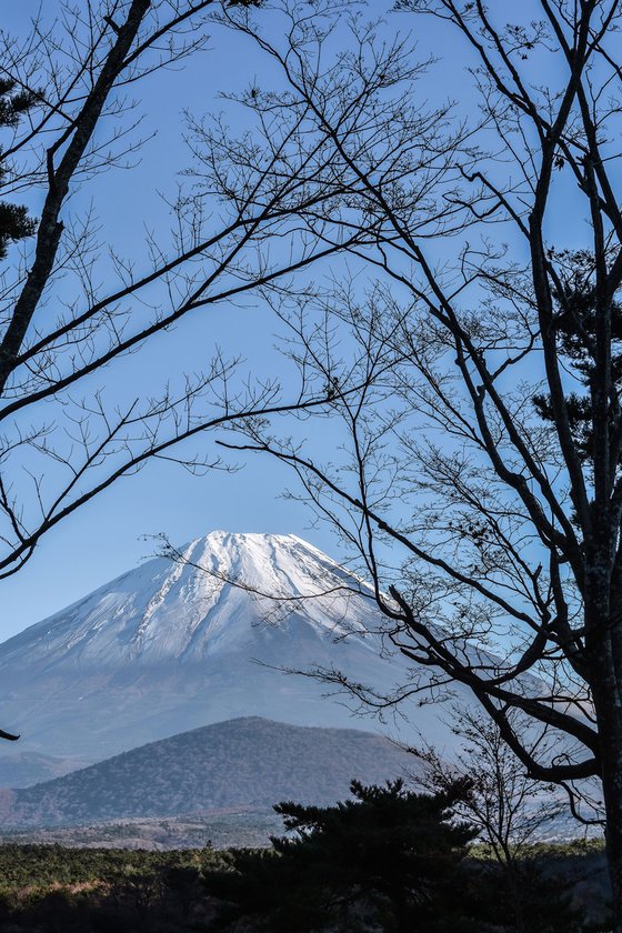 THE BIG FUJI