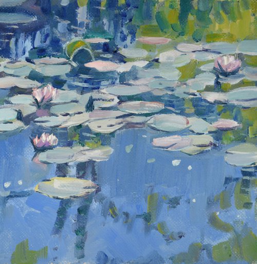 Water lilies V by Goran Žigolić Watercolors