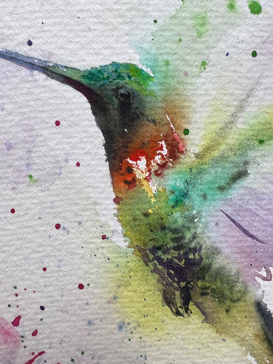 Hummingbird