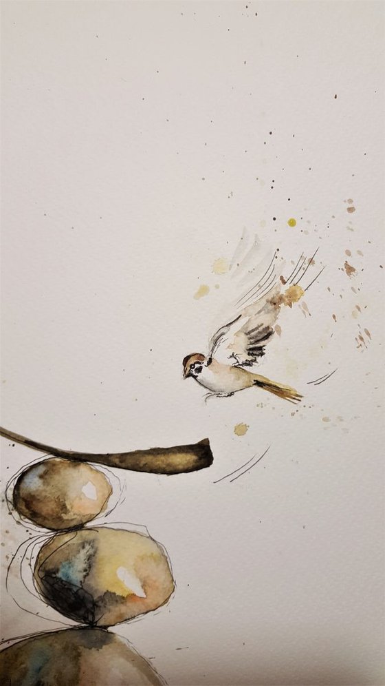 Zen with Sparrow