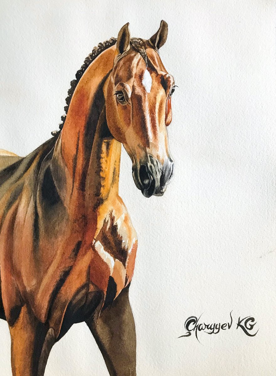 Arabian horse portrait by Kakajan Charyyev