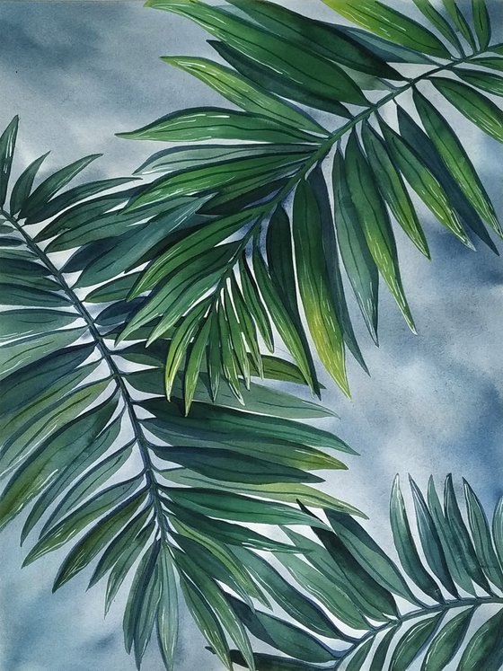 Palm Leaves 1