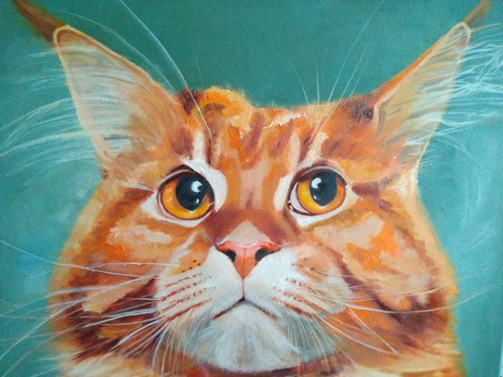 Red cat Maine Coon, 45x50 cm, ready to hang.