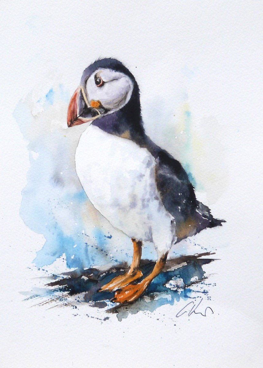 A Puffin. by Graham Kemp