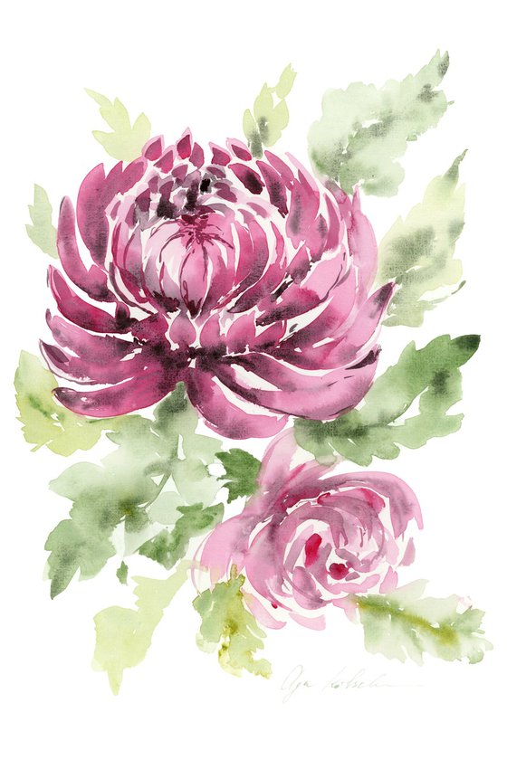 Purple Chrysanthemum