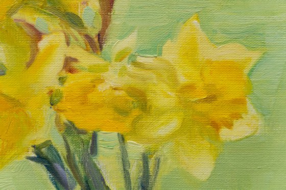 Daffodils