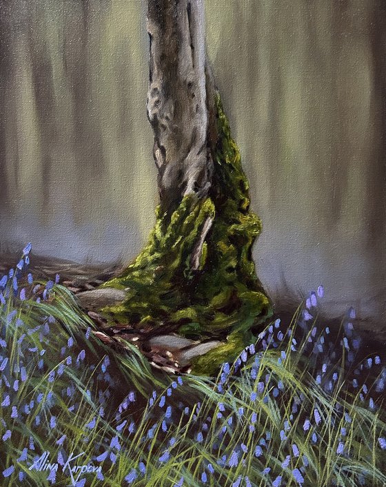 The tree and the bluebells