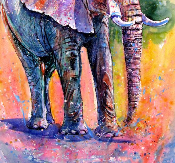 Elephant by the water