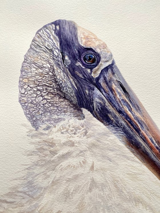 Wood Stork Watercolor Portrait