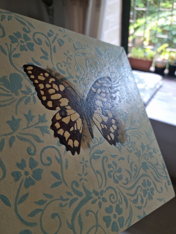 Butterfly on Ivory I