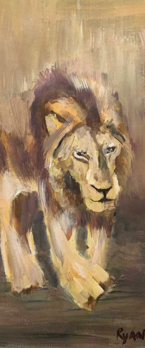 Lion Walking by Ryan  Louder