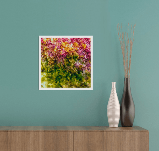 Abstract Flowers #7. Limited Edition 1/25 12x12 inch Photographic Print.