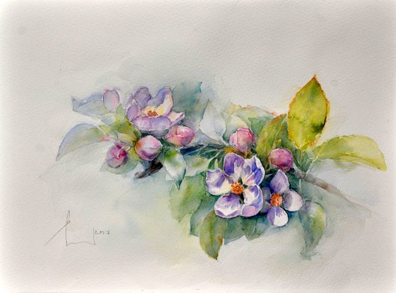 APPLE BLOSSOM II  original watercolor 37X28