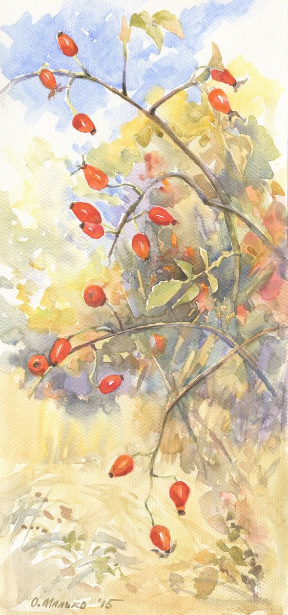 Red rosehip / Red fall berries Bright autumn watercolor by Olha Malko