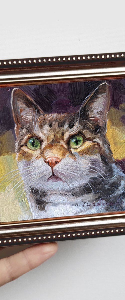 Cat portrait by Nataly Derevyanko