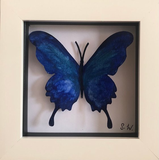 Single Butterfly Box - sapphire