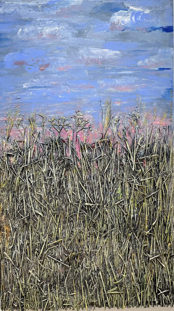 Eternal Horizon Mirage I