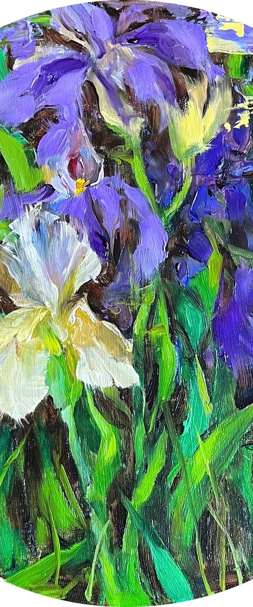 Irises by Elena Mashajeva-Agraphiotis