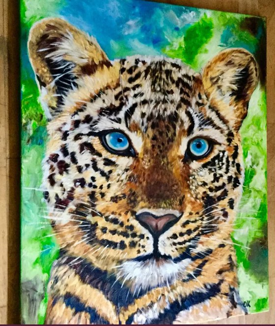 LEOPARD. Blue eyes