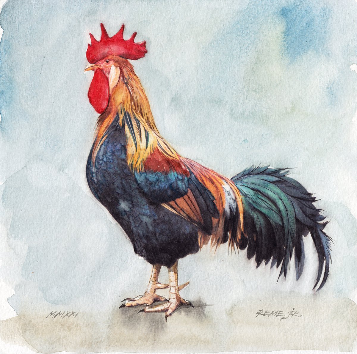 BIRD CLIII - Rooster by REME Jr.