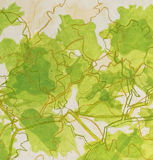 A Walk in the Woods by Linda Jones