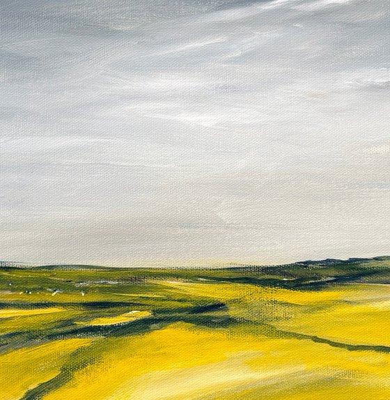 Summer Fields