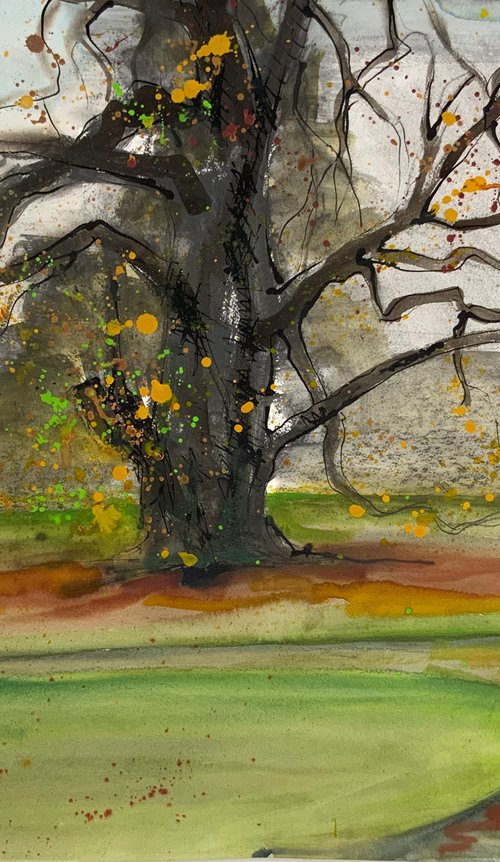 Tree at Mottisfont by Megan Cheetham