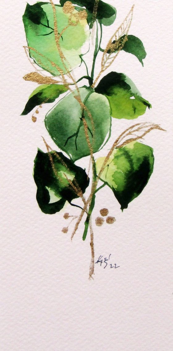 Leaves