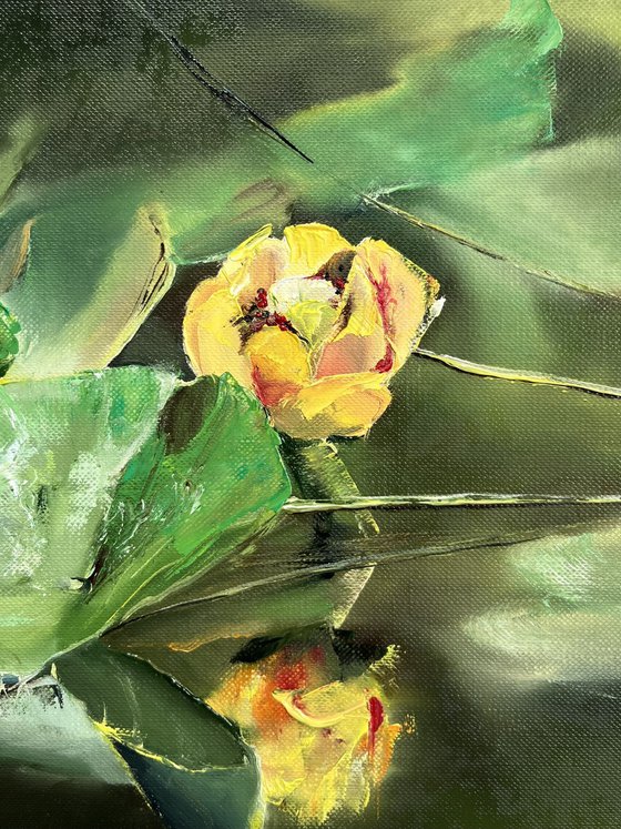 Yellow Flower Water Lily