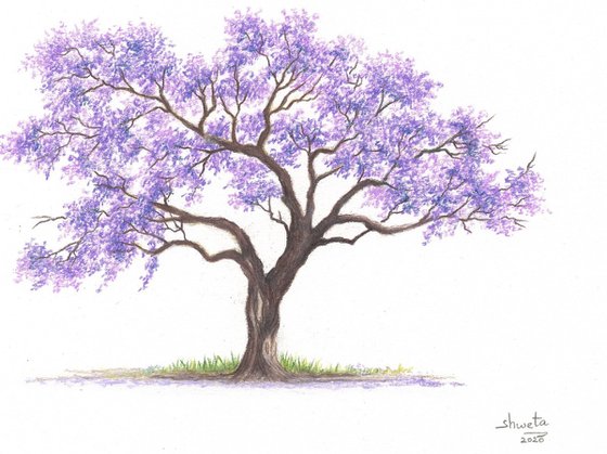Purple blossoms