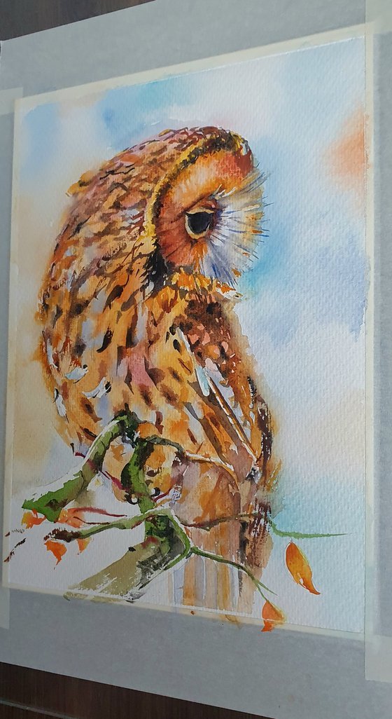 Autumn guardean ( watercolour Owl )