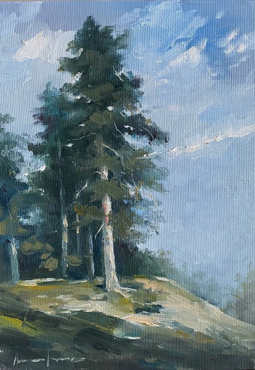 Pine on the hill by Artem Grunyka