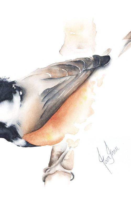 Chickadee by ieva Janu