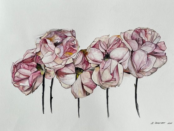 Pink roses pastel