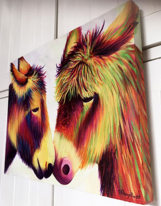 Rainbow Donkey Love