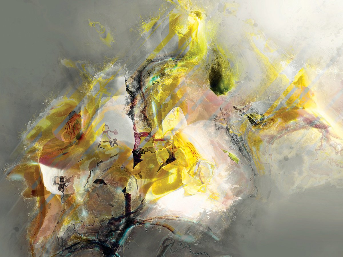 Abstract Botanical Print By Javier Diaz, 80 X 60, Delirios Xxv, Original Artwork